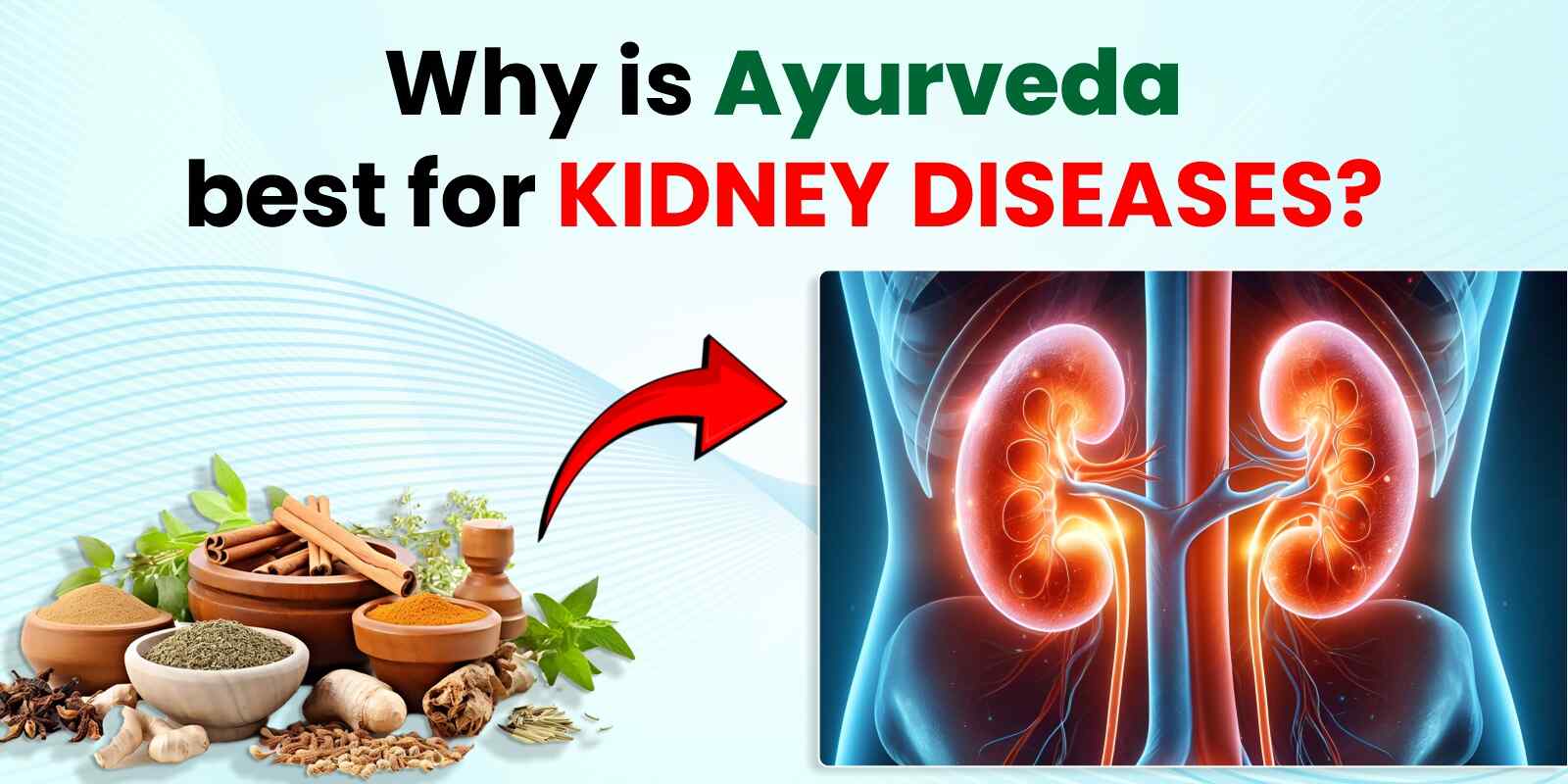 Ayurveda for Kidney Diseases Treatment